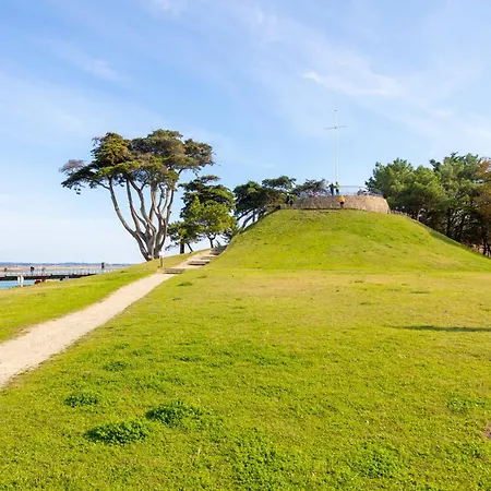 Martin - * لو كروازيك